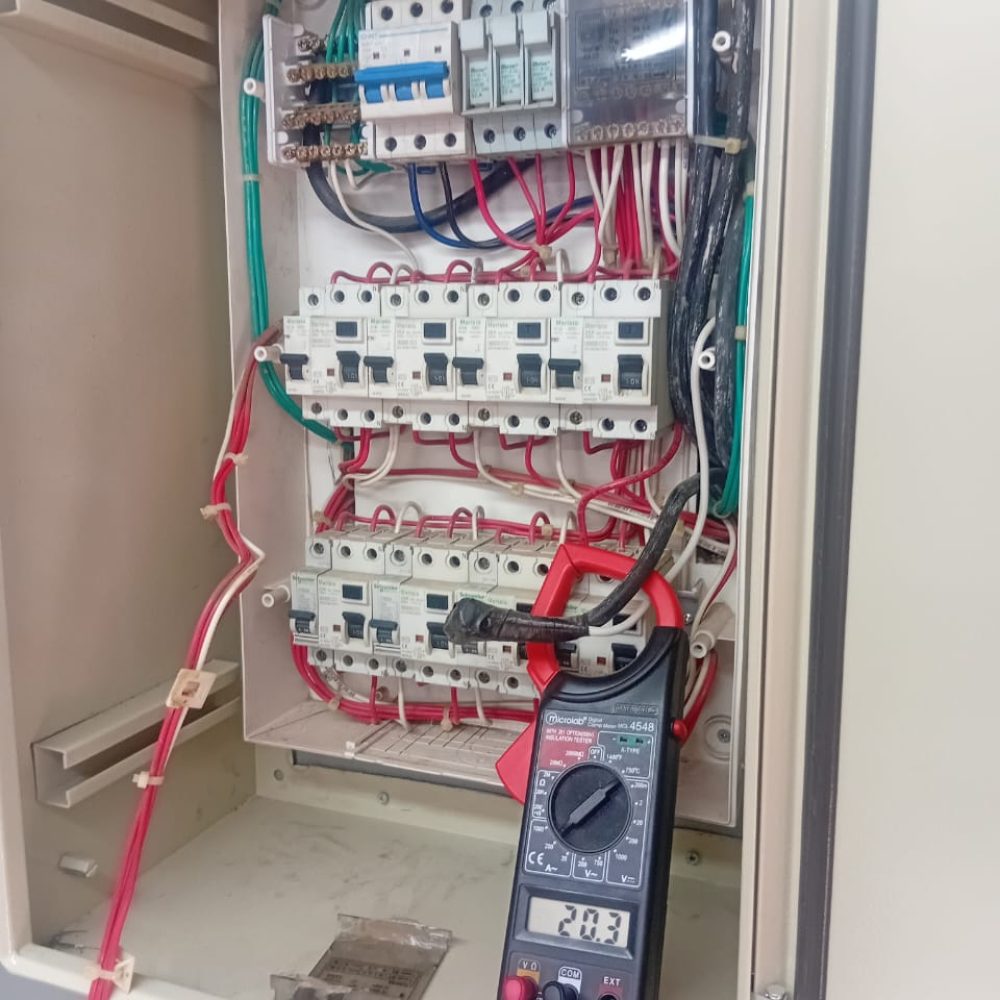 WhatsApp Image 2025-10-26 at 7.30.07 PM (3)